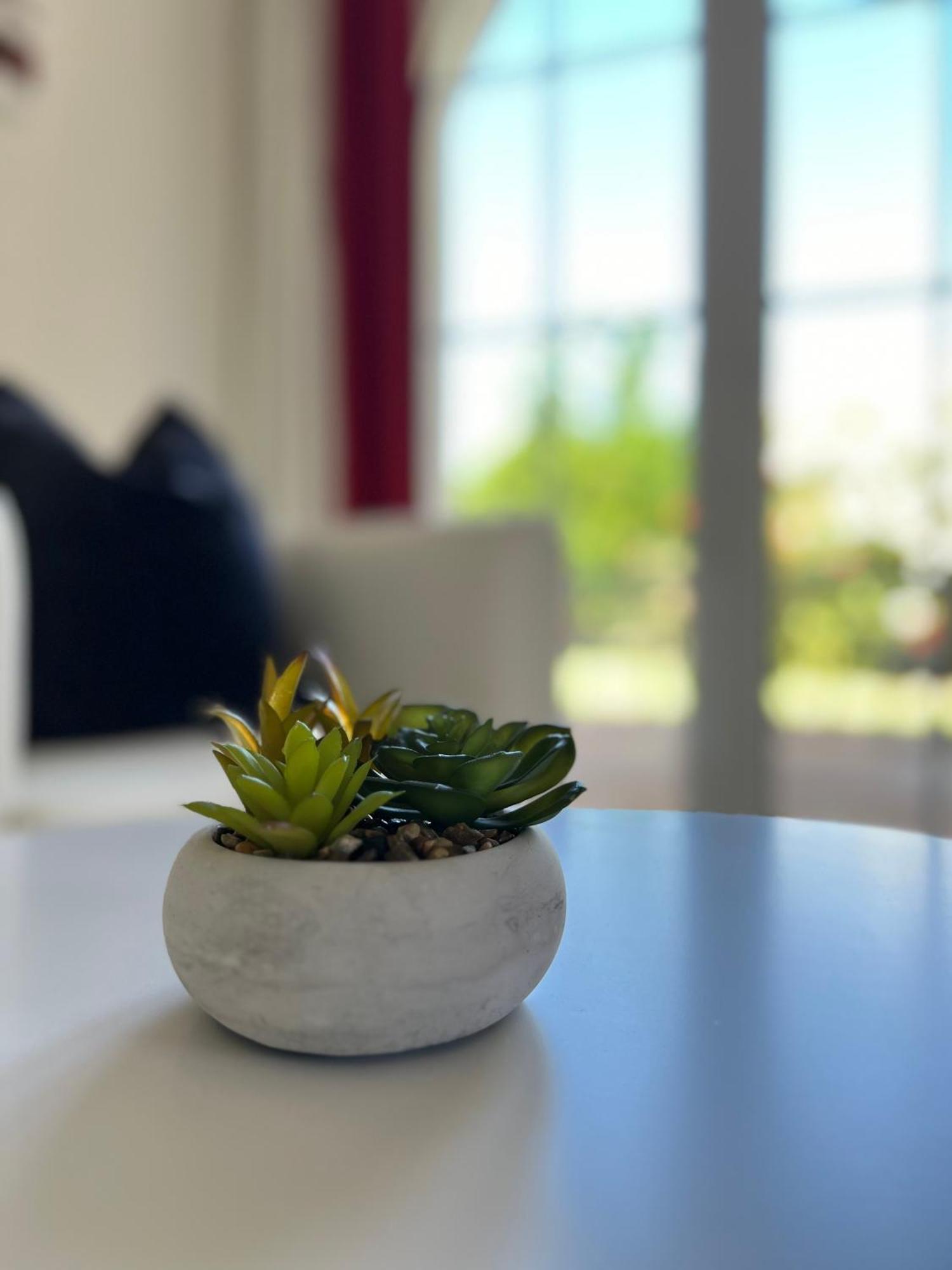 Vila Relaxmountain B&B São Bartolomeu de Messines Zewnętrze zdjęcie